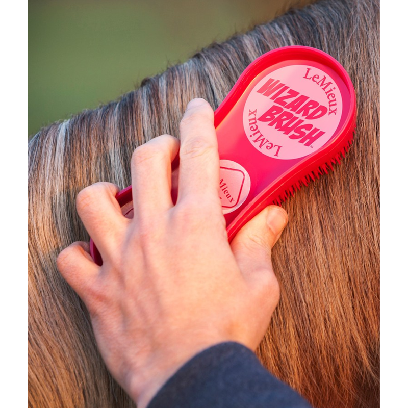 LeMieux Wizard Brush Trio - Burgundy/Grey/Purple-1